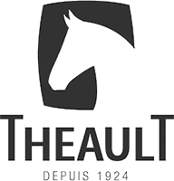 logo theault